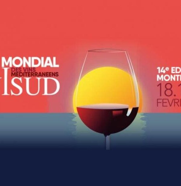 vinisud y visnovision 2019