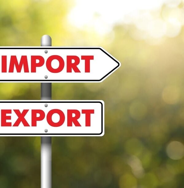 futuro de la exportacion